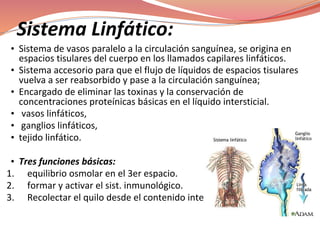 Sistema Linfático:
• Sistema de vasos paralelo a la circulación sanguínea, se origina en
espacios tisulares del cuerpo en los llamados capilares linfáticos.
• Sistema accesorio para que el flujo de líquidos de espacios tisulares
vuelva a ser reabsorbido y pase a la circulación sanguínea;
• Encargado de eliminar las toxinas y la conservación de
concentraciones proteínicas básicas en el líquido intersticial.
• vasos linfáticos,
• ganglios linfáticos,
• tejido linfático.
• Tres funciones básicas:
1. equilibrio osmolar en el 3er espacio.
2. formar y activar el sist. inmunológico.
3. Recolectar el quilo desde el contenido intestinal.
 