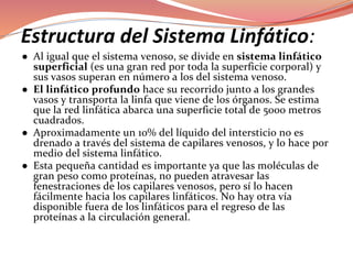 Estructura del Sistema Linfático:
●
●
●
●
 
