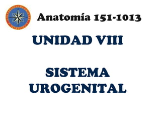 UNIDAD VIII
SISTEMA
UROGENITAL
Anatomía 151-1013
 