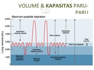 VOLUME & KAPASITAS PARU-
PARU
 