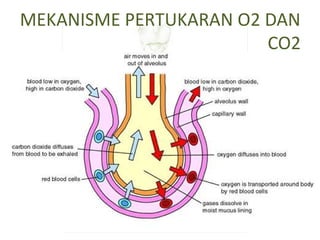 MEKANISME PERTUKARAN O2 DAN
CO2
 