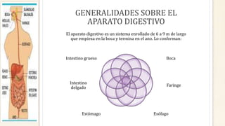El aparato digestivo es un sistema enrollado de 6 a 9 m de largo
que empieza en la boca y termina en el ano. Lo conforman:
Boca
Faringe
EsófagoEstómago
Intestino
delgado
Intestino grueso
GENERALIDADES SOBRE EL
APARATO DIGESTIVO
 
