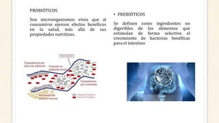 PROBIÓTICOS
Son microorganismos vivos que al
consumirse ejercen efectos benéficos
en la salud, más allá de sus
propiedades nutritivas.
• PREBIÓTICOS
Se definen como ingredientes no
digeribles de los alimentos que
estimulan de forma selectiva el
crecimiento de bacterias benéficas
para el intestino
 