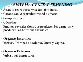 SISTEMA GENITAL FEMENINO
 Aparato reproductor y sexual femenino.
 Garantizan la reproductividad humana.
 Compuesto por:
- Gónadas:
Órganos sexuales donde se producen los gametos y
producen las hormonas sexuales.
- Órganos Internos:
Ovarios, Trompas de Falopio, Útero y Vagina.
- Órganos Externos:
Vulva y sus estructuras.
 