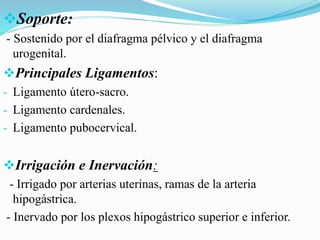 Soporte:
- Sostenido por el diafragma pélvico y el diafragma
urogenital.
Principales Ligamentos:
- Ligamento útero-sacro.
- Ligamento cardenales.
- Ligamento pubocervical.
Irrigación e Inervación:
- Irrigado por arterias uterinas, ramas de la arteria
hipogástrica.
- Inervado por los plexos hipogástrico superior e inferior.
 