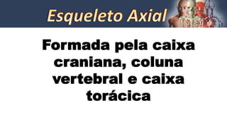 Formada pela caixa
craniana, coluna
vertebral e caixa
torácica
 