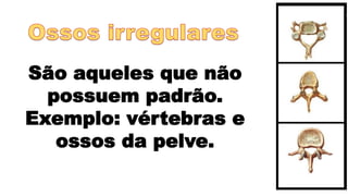 São aqueles que não
possuem padrão.
Exemplo: vértebras e
ossos da pelve.
 