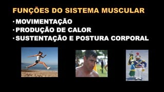 • MOVIMENTAÇÃO
• PRODUÇÃO DE CALOR
• SUSTENTAÇÃO E POSTURA CORPORAL
 