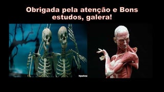 Sistema. locomotor e muscular