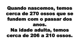 Quando nascemos, temos
cerca de 270 ossos que se
fundem com o passar dos
anos.
Na idade adulta, temos
cerca de 206 a 210 ossos.
 