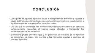 C O N C L U S I Ó N
• Cada parte del aparato digestivo ayuda a transportar los alimentos y líquidos a
través del tracto gastrointestinal, a descomponer químicamente los alimentos y
líquidos en partes más pequeñas, o ambas cosas.
• Una vez que los alimentos han sido descompuestos químicamente en partes lo
suficientemente pequeñas, el cuerpo puede absorber y transportar los
nutrientes adonde se necesitan.
• El intestino grueso absorbe agua y los productos de desecho de la digestión
se convierten en heces. Los nervios y las hormonas ayudan a controlar el
proceso digestivo.
 
