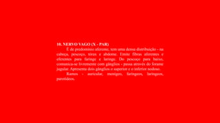 10. NERVO VAGO (X - PAR)
É de predomínio aferente, tem uma densa distribuição - na
cabeça, pescoço, tórax e abdome. Emite fibras aferentes e
eferentes para faringe e laringe. Do pescoço para baixo,
comunica-se livremente com gânglios - passa através do forame
jugular. Apresenta dois gânglios o superior e o inferior nodoso.
Ramos - auricular, menígeo, faríngeos, laríngeos,
parotídeos.
 