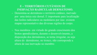 E – TERRITÓRIOS CUTÂNEOS DE
INERVAÇÃO RADICULAR DERMÁTOMO.
- Denomina-se dermátono o território cutâneo, inervado
por uma única raiz dorsal. E importante para localização
das lesões radiculares ou medulares por isso existem
mapas representativo das diversas regiões do corpo.
- Nos membros em virtude do grande crescimento dos
brotos apendiculares, durante o desenvolvimento, a
disposição dos dermátonos, se torna irregular, ou seja
altura do dermátomo, no tronco, não corresponde a
altura de sua inervação no membro
 