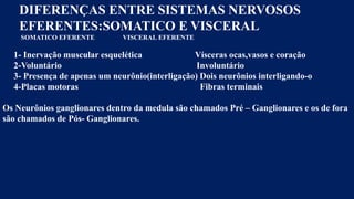 DIFERENÇAS ENTRE SISTEMAS NERVOSOS
EFERENTES:SOMATICO E VISCERAL
SOMATICO EFERENTE VISCERAL EFERENTE
1- Inervação muscular esquelética Vísceras ocas,vasos e coração
2-Voluntário Involuntário
3- Presença de apenas um neurônio(interligação) Dois neurônios interligando-o
4-Placas motoras Fibras terminais
Os Neurônios ganglionares dentro da medula são chamados Pré – Ganglionares e os de fora
são chamados de Pós- Ganglionares.
 
