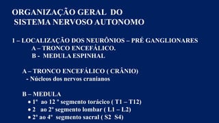 ORGANIZAÇÃO GERAL DO
SISTEMA NERVOSO AUTONOMO
1 – LOCALIZAÇÃO DOS NEURÔNIOS – PRÉ GANGLIONARES
A – TRONCO ENCEFÁLICO.
B - MEDULA ESPINHAL
A – TRONCO ENCEFÁLICO ( CRÂNIO)
- Núcleos dos nervos cranianos
B – MEDULA
 1º ao 12 º segmento torácico ( T1 – T12)
 2 ao 2º segmento lombar ( L1 – L2)
 2º ao 4º segmento sacral ( S2 S4)
 