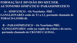 FORMAÇÃO E DIVISÃO DO SIST.NER.
AUTONOMO SIMPÁTICO /PARASSIMPATICO
A – SIMPÁTICO – Os Neurônios PRÉ –
GANGLIONARES estão de T1 a L2, portando chamado de
TORACO-LOMBAR.
B – PARASSÍMPATICO – Os Neurônios PRÉ-
GANGLIONARES estão na região do crânio e do sacro,
portando chamado de CRÂNIO CAUDAL.
 