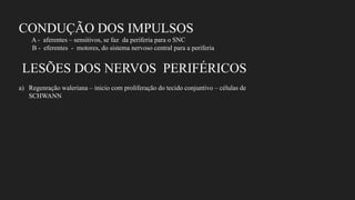 CONDUÇÃO DOS IMPULSOS
A - aferentes – sensitivos, se faz da periferia para o SNC
B - eferentes - motores, do sistema nervoso central para a periferia
LESÕES DOS NERVOS PERIFÉRICOS
a) Regenração waleriana – inicio com proliferação do tecido conjuntivo – células de
SCHWANN
 
