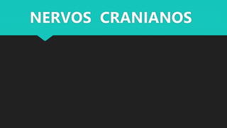 NERVOS CRANIANOS
 