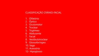 CLASSIFICAÇÃO CRÂNIO-FACIAL
1. Olfatório
2. Óptico
3. Oculomotor
4. Troclear
5. Trigêmeo
6. Abducente
7. Facial
8. Vestibulotroclear
9. Glossofaríngeo
10. Vago
11. Acessório
12- Hipoglosso
 