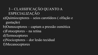 3 – CLASSIFICAÇÃO QUANTO A
ESPECIALIZAÇÃO
a)Quimioceptores – seios carotídeos ( olfação e
gustação)
b)Osmoceptores – captam a pressão osmótica
c)Fotoceptores – na retina
d)Termoceptores
e)Nociceptores – dor lesão tecidual
f)Mecanoceptores
 