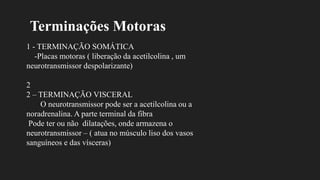 Terminações Motoras
1 - TERMINAÇÃO SOMÁTICA
-Placas motoras ( liberação da acetilcolina , um
neurotransmissor despolarizante)
2
2 – TERMINAÇÃO VISCERAL
O neurotransmissor pode ser a acetilcolina ou a
noradrenalina. A parte terminal da fibra
Pode ter ou não dilatações, onde armazena o
neurotransmissor – ( atua no músculo liso dos vasos
sanguíneos e das vísceras)
 