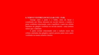 8. NERVO VESTIBULOCOCLEAR (VIII - PAR)
Emerge entre a ponte e o bulbo, atrás do facial é
constituído pro fibras aferentes do ouvido interno e contém a
parte vestibular relacionado, com o equilíbrio e parte nas células
bipolares do gânglio vestibular no ouvido interno - estas emitem
ramos que o labirinto.
A parte coclear relacionado com a audição nasce das
células cabeludas dos gânglios espiral, penetra junto com a parte
vestibular no meato acústico interno.
 