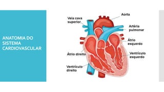 ANATOMIA DO
SISTEMA
CARDIOVASCULAR
 