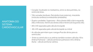 ANATOMIA DO
SISTEMA
CARDIOVASCULAR
 Coração: localizado no mediastino, entre os dois pulmões, no
centro do tórax.
 Três camadas teciduais: Pericárdio (mais externo), miocárdio
(músculo cardíaco) e endocárdio (endotélio).
 Quatro cavidades: Superiores – Átrio direito (AD) e átrio esquerdo
(AE) / Inferiores:Ventrículo direito (VD) eVentrículo Esquerdo (VE)
 AD eVD separados pela válvula tricúspide
 AE eVE separados pela válvula bicúspide ou mitral
 As válvulas permitem que o sangue flua dos átrios para os
ventrículos.
 Entre os ventrículos e as artérias também existem válvulas:VD e
Artéria Pulmonar – válvula semilunar pulmonar eVE e Artéria
Aorta – válvula semilunar aórtica.
 