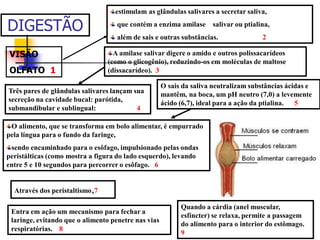 DIGESTÃO
VISÃO
OLFATO 1
estimulam as glândulas salivares a secretar saliva,
que contém a enzima amilase salivar ou ptialina,
além de sais e outras substâncias. 2
A amilase salivar digere o amido e outros polissacarídeos
(como o glicogênio), reduzindo-os em moléculas de maltose
(dissacarídeo). 3
Três pares de glândulas salivares lançam sua
secreção na cavidade bucal: parótida,
submandibular e sublingual: 4
O sais da saliva neutralizam substâncias ácidas e
mantêm, na boca, um pH neutro (7,0) a levemente
ácido (6,7), ideal para a ação da ptialina. 5
O alimento, que se transforma em bolo alimentar, é empurrado
pela língua para o fundo da faringe,
sendo encaminhado para o esôfago, impulsionado pelas ondas
peristálticas (como mostra a figura do lado esquerdo), levando
entre 5 e 10 segundos para percorrer o esôfago. 6
Através dos peristaltismo,7
Entra em ação um mecanismo para fechar a
laringe, evitando que o alimento penetre nas vias
respiratórias. 8
Quando a cárdia (anel muscular,
esfíncter) se relaxa, permite a passagem
do alimento para o interior do estômago.
9
 