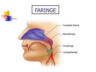 FARINGE
 