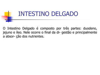 INTESTINO DELGADO
O Intestino Delgado é composto por três partes: duodeno,
jejuno e íleo. Nele ocorre o final da di- gestão e principalmente
a absor- ção dos nutrientes.
 