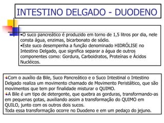 INTESTINO DELGADO - DUODENO
•O suco pancreático é produzido em torno de 1,5 litros por dia, nele
consta água, enzimas, bicarbonato de sódio.
•Este suco desempenha a função denominado HIDRÓLISE no
Intestino Delgado, que significa separar a água de outros
componentes como: Gordura, Carboidratos, Proteínas e Ácidos
Nucléicos.
Com o auxílio da Bile, Suco Pancreático e o Suco Intestinal o Intestino
Delgado realiza um movimento chamado de Movimento Peristáltico, que são
movimentos que tem por finalidade misturar o QUIMO.
A Bile é um tipo de detergente, que quebra as gorduras, transformando-as
em pequenas gotas, auxiliando assim a transformação do QUIMO em
QUILO, junto com os outros dois sucos.
Toda essa transformação ocorre no Duodeno e em um pedaço do jejuno.
 