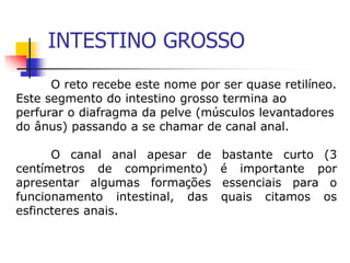 INTESTINO GROSSO
O reto recebe este nome por ser quase retilíneo.
Este segmento do intestino grosso termina ao
perfurar o diafragma da pelve (músculos levantadores
do ânus) passando a se chamar de canal anal.
O canal anal apesar de bastante curto (3
centímetros de comprimento) é importante por
apresentar algumas formações essenciais para o
funcionamento intestinal, das quais citamos os
esfincteres anais.
 