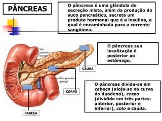 O pâncreas é uma glândula de
secreção mista, além da produção do
suco pancreático, secreta um
produto hormonal que é a insulina, a
qual é encaminhada para a corrente
sangüínea.
O pâncreas sua
localização é
posterior ao
estômago.
O pâncreas divide-se em
cabeça (aloja-se na curva
do duodeno), corpo
(dividido em três partes:
anterior, posterior e
inferior), colo e cauda.
PÂNCREAS
CABEÇA
CORPO
CAUDA
 