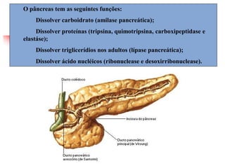O pâncreas tem as seguintes funções:
Dissolver carboidrato (amilase pancreática);
Dissolver proteínas (tripsina, quimotripsina, carboxipeptidase e
elastáse);
Dissolver triglicerídios nos adultos (lípase pancreática);
Dissolver ácido nucléicos (ribonuclease e desoxirribonuclease).
 