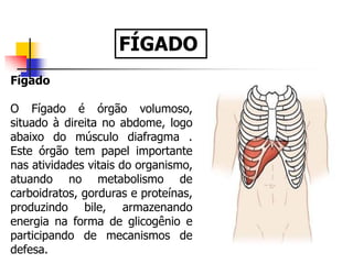 Fígado
O Fígado é órgão volumoso,
situado à direita no abdome, logo
abaixo do músculo diafragma .
Este órgão tem papel importante
nas atividades vitais do organismo,
atuando no metabolismo de
carboidratos, gorduras e proteínas,
produzindo bile, armazenando
energia na forma de glicogênio e
participando de mecanismos de
defesa.
FÍGADO
 