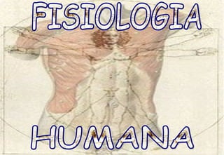 HUMANA FISIOLOGIA  