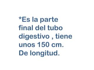 *Es la parte
final del tubo
digestivo , tiene
unos 150 cm.
De longitud.
 
