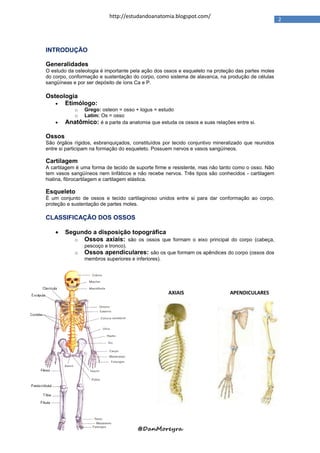 Ossos do esqueleto apendicular - Oss d esquelet apendicular