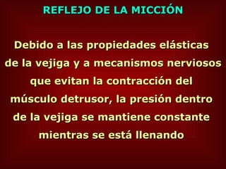 REFLEJO DE LA MICCIÓN Debido a las propiedades elásticas  de la vejiga y a mecanismos nerviosos que evitan la contracción del  músculo detrusor, la presión dentro  de la vejiga se mantiene constante  mientras se está llenando   