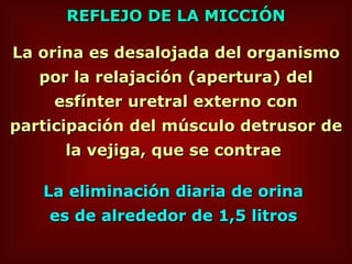 La orina es desalojada del organismo por la relajación (apertura) del esfínter uretral externo con participación del músculo detrusor de la vejiga, que se contrae  REFLEJO DE LA MICCIÓN La eliminación diaria de orina  es de alrededor de 1,5 litros   