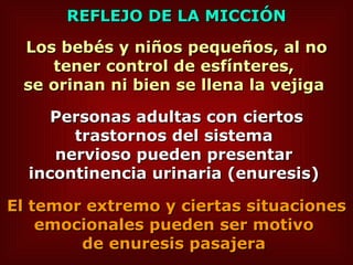 Los bebés y niños pequeños, al no tener control de esfínteres,  se orinan ni bien se llena la vejiga  REFLEJO DE LA MICCIÓN Personas adultas con ciertos trastornos del sistema  nervioso pueden presentar  incontinencia urinaria (enuresis)   El temor extremo y ciertas situaciones emocionales pueden ser motivo  de enuresis pasajera   