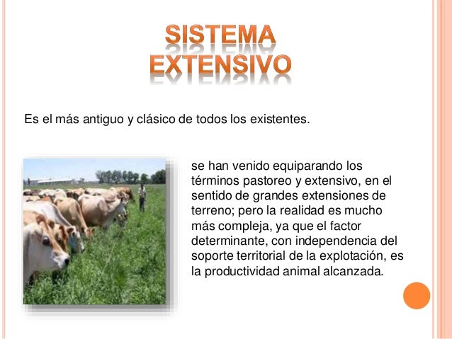 reunirse masaje erótico hacerse una paja reunirse masaje erótico hacerse una paja
