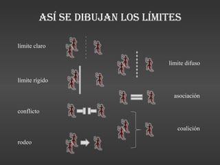 Así se dibujan los Límites límite claro límite difuso límite rígido asociación conflicto coalición rodeo 