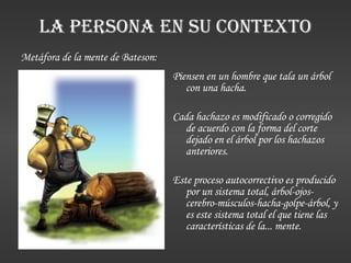 LA PERSONA EN SU CONTEXTO Metáfora de la mente de Bateson: Piensen en un hombre que tala un árbol con una hacha.  Cada hachazo es modificado o corregido de acuerdo con la forma del corte dejado en el árbol por los hachazos anteriores.  Este proceso autocorrectivo es producido por un sistema total, árbol-ojos-cerebro-músculos-hacha-golpe-árbol, y es este sistema total el que tiene las características de la... mente. 