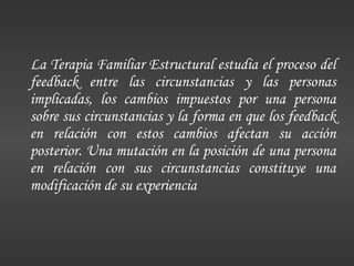 La Terapia Familiar Estructural estudia el proceso del feedback entre las circunstancias y las personas implicadas, los cambios impuestos por una persona sobre sus circunstancias y la forma en que los feedback en relación con estos cambios afectan su acción posterior. Una mutación en la posición de una persona en relación con sus circunstancias constituye una modificación de su experiencia 