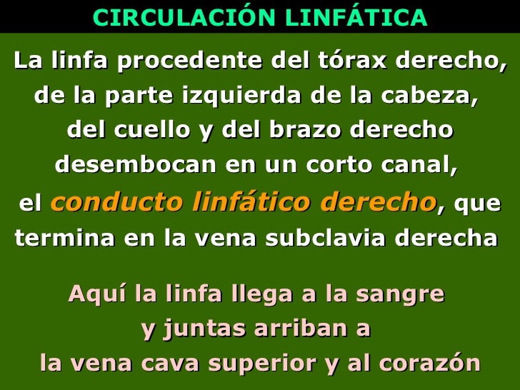 El dolor en la espalda de la parte derecha inclinarse