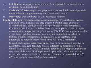 d)  Labilitatea  este capacitatea neuronului de a raspunde la un anumit numar de stimuli pe unitate de timp e)  Periaoda refractara  reprezinta proprietatea neuronului de a nu raspunde la un stimul nouin timpul unui raspuns la un stimul anterior f)  Bruschetea  este rapiditatea cu care actioneaza stimulul Conductibilitatea  reprezinta capacitatea de autopropagare a influxului nervos prin axon spre alt neuron  sau spre efector. Suportul fizico-chimic al excitabilitatii si al conductibilitatii este potentialul electric membranar. Conform teoriei ionice a lui Julius Bernstein, acest potential electric apare cao consecinta a repartitiei inegala a ionilor (Na ,K, Ca,) de o parte si de alta a membranei celulare neuronale care prezinta permeabilitate selectiva. Datorita miscarii ioniceimpuse de gradientul de concentratie, apar diferentele de potential electric intre cele doua fete ale membranei. In conditii de repaus neurilema este pozitiva pe fata externa si negativa pe cea interna. Intre cele doua fete exista o diferenta de potential de 70 mV numita  potential de de repaus . In timpul potentialului de repaus, membrana este permeabila pentru K si impermeabila pentru Na. Membrana devine negativa la exterior si pozitiva la interior. Diferenta de potential devine 35 mV si se numeste  potential de actiune . Acesta 