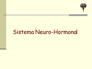 Sistema Neuro-Hormonal 