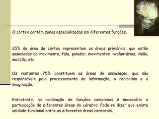 O córtex contém zonas especializadas em diferentes funções. 25% da área do córtex representam as áreas primárias, que estão associadas ao movimento, fala, paladar, movimentos involuntários, visão, audição, etc. Os restantes 75% constituem as áreas de associação, que são responsáveis pelo processamento da informação, o raciocínio e a imaginação. Entretanto, na realização de funções complexas é necessária a participação de diferentes áreas do cérebro. Pode-se dizer que existe unidade funcional entre as diferentes áreas cerebrais. 
